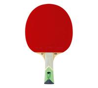 Tibhar Green Edition Raquette de tennis de table avec autorisation ITTF