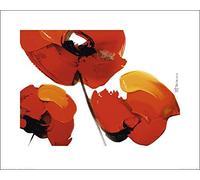Tibi Hegyesi (Three Poppies - White 40 x 50 cm Toile Imprimée
