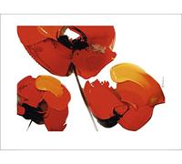 Tibi Hegyesi (Three Poppies - White 60 x 80 cm Toile Imprimée