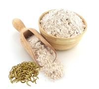 TiBioNa Italia Farine de larve de miel 100% pure 100g