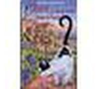 Tiburce, le chat qui démêla l'énigme de l'hécatombe - Philippe Ragueneau - Rocher Eds Du - broché - Roman