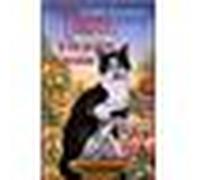 Tiburce, le chat qui piégea les terrosistes - Philippe Ragueneau - Rocher Eds Du - broché - Roman