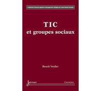 Tic et groupes sociaux collection finance gestion management - Verdier - Hermes Science Publications - broché - Livre