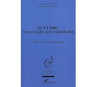 Tic Et Pme : Des Usages Aux Stratégies