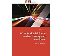 Tic Et Productivité: Une Analyse Théorique Et Empirique