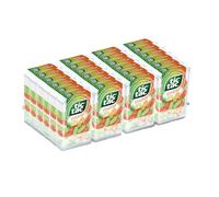 TIC TAC Duo Orange & Citron Vert - 24 mini-boîtes de bonbons 18g - Pastilles