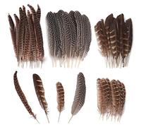 Ticeed 40 Pièces Plumes de Faisan Naturelles pour Artisanat, Costumes, Décoration, Chapeau (10-25cm)