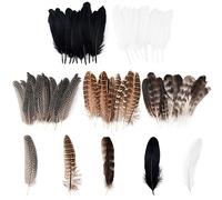 Ticeed 50 Pièces Plumes de Faisan, Plume Decoration Plumes de Faisan Naturelles Plumes Loisirs Creatifs 3 Styles de Plumes Naturelles pour Artisanat Costumes Décoration Chapeau (10-25cm)