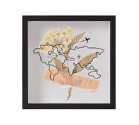 Ticket Display Frame, Shadow Box Case, 8x8 Inch Protective Keepsake Storage Frame System, Photo Flower Stamp Memory Display Holder Tool, for Dried Flowers Photo Specimens Stamps Keepsake Wall Decor