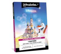 Disneyland Paris - Journée pour 1 Personne (Adulte) - Coffret Cadeau - Ticketbox - Idée Cadeau Divertissement