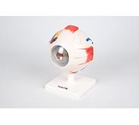 TickiT 03101 Human Eye 4x Life Size Model, 6 Parts