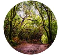 tickit 73562 Forest Discover Tapis de jeu