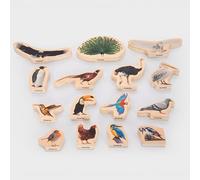 tickit Blocs d’Images d’Oiseaux en contreplaqué de Bouleau - Ensemble de 15 Blocs imprimés en Couleur Recto-Verso présentant de Vraies Images d’Oiseaux pour Un Jeu imaginatif