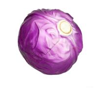 Tidevib Réplique de nourriture de chou artificiel pour merchandising visuel et décoration d'intérieur, modèle végétal réaliste en PVC pour comptoir de cuisine ou salle à manger (D)