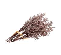 TIDTALEO Bouquet de Fleurs Séchées 3 Bouquets de Gypsophile Naturel, Décoration Généreuse et Facile à Transporter pour Intérieur et Extérieur, Durée de Conservation Longue