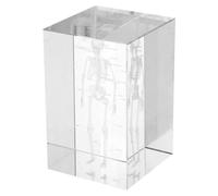 TIDTALEO Cube en Verre Modèle Anatomique Squelette Humain Cristal Illustration Tridimensionnelle pour Étude et Décoration