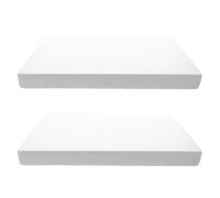 TIDTALEO Plaque de Mousse Blanche Outil de Transformation de Paysage 2pcs Décoration Paysage pour Loisirs Créatifs pour Expositions Éducatives