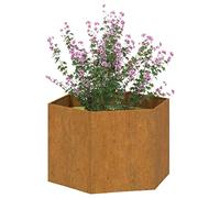 Tidyard Jardinière surélevée en acier Corten - Décoration durable et résistante aux intempéries pour votre jardin