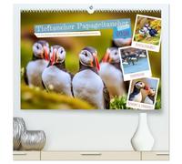 Tieftaucher Papageitaucher (hochwertiger Premium Wandkalender 2026 DIN A2 quer), Kunstdruck in Hochglanz: Wo der Schnabel leuchtet, beginnt dein Abenteuer.