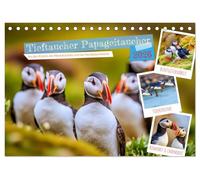 Tieftaucher Papageitaucher (Tischkalender 2026 DIN A5 quer), CALVENDO Monatskalender: Wo der Schnabel leuchtet, beginnt dein Abenteuer.