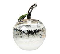 TIEMORE Verre Tempête, Prédicteur Météo, Verre De Stations Météo, Bouteille De Prévisions Météo, Décoration De Bureau Baromètre Liquide pour Cadeau De Bureau à Domicile
