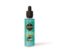 TIENDIFY Essence hydrosoluble 50 ml Ambar Parfums | Spécial pour humidificateur | Aromathérapie | Technologie fusion | Parfum pur et intense | Ne laisse pas de résidus (Eucalypte)