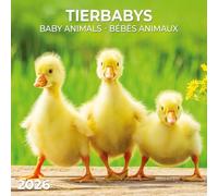 Tierbabys/Baby Animals 2026: Kalender 2026
