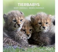 Tierbabys / Baby Animals 2027: Kalender 2027