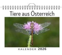 Tiere aus Österreich: (Wandkalender 2026, Kalender DIN A4 quer, Monatskalender im Querformat mit Kalendarium, das perfekte Geschenk)