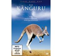 Tiere Ganz Nah - Das Känguru