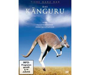 Tiere Ganz Nah - Das Känguru