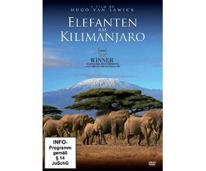 Tiere Ganz Nah - Elefanten am Kilimajaro