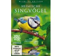 Tiere Ganz Nah - Heimische Singvögel