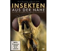 Tiere Ganz Nah - Insekten aus der Nähe