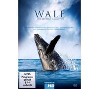 Tiere Ganz Nah - Wale-die Letzten Giganten