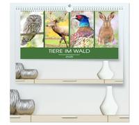 Tiere im Wald. Bezaubernde Begegnungen (hochwertiger Premium Wandkalender 2026 DIN A2 quer), Kunstdruck in Hochglanz: Ein magischer Ausflug durch den Wald