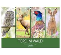 Tiere im Wald. Bezaubernde Begegnungen (Tischkalender 2026 DIN A5 quer), CALVENDO Monatskalender: Ein magischer Ausflug durch den Wald