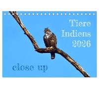 Tiere Indiens close up (Tischkalender 2026 DIN A5 quer), CALVENDO Monatskalender: Auge in Auge mit Wildtieren Indiens