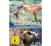 TIERE VOR DER KAMERA - ABENTEUER WILDNIS 2 - TIERE VOR DER KAMERA 8 DVD NEUF