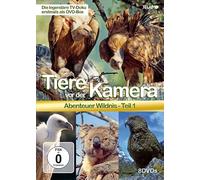 Tiere Vor der Kamera - Tiere Vor der Kamera - Abenteuer Wildnis 1