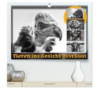 Tieren ins Gesicht geschaut (hochwertiger Premium Wandkalender 2026 DIN A2 quer), Kunstdruck in Hochglanz: Eindrucksvolle Tierporträts, umgesetzt als schwarz/weiß Foto, reduziert auf das Wesentliche.