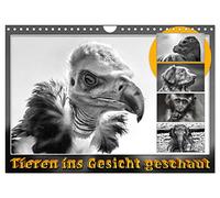Tieren ins Gesicht geschaut (Wandkalender 2026 DIN A4 quer), CALVENDO Monatskalender: Eindrucksvolle Tierporträts, umgesetzt als schwarz/weiß Foto, reduziert auf das Wesentliche.