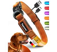 Tierhood Collier lumineux pour chien - Collier lumineux pour petits et grands chiens - Collier LED rechargeable - Durable, résistant aux intempéries et confortable - Idéal pour les promenades