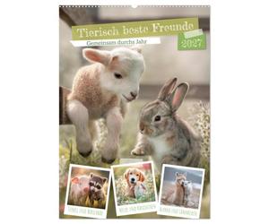 Tierisch beste Freunde - Gemeinsam durchs Jahr (Wandkalender 2027 DIN A2 hoch), CALVENDO Monatskalender: Herzensmomente der Tierwelt erleben