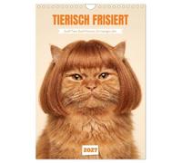 TIERISCH FRISIERT (Wandkalender 2027 DIN A4 hoch), CALVENDO Monatskalender: Zwölf Tiere mit tierisch guten Frisuren.