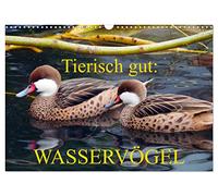 Tierisch gut: Wasservögel (Wandkalender 2026 DIN A3 quer), CALVENDO Monatskalender: Enten, Gänse und Schwäne in ihrem Element