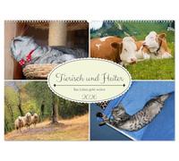 Tierisch und Heiter - Das Leben geht weiter 2026 (Wandkalender 2026 DIN A2 quer), CALVENDO Monatskalender: Lustige Szenen aus der Tierwelt