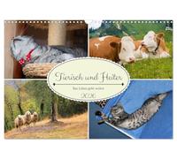 Tierisch und Heiter - Das Leben geht weiter 2026 (Wandkalender 2026 DIN A3 quer), CALVENDO Monatskalender: Lustige Szenen aus der Tierwelt