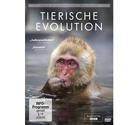 Tierische Evolution