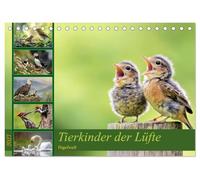 Tierkinder der Lüfte - Vogelwelt (Tischkalender 2027 DIN A5 quer), CALVENDO Monatskalender: Wenn Flügel wachsen lernen
